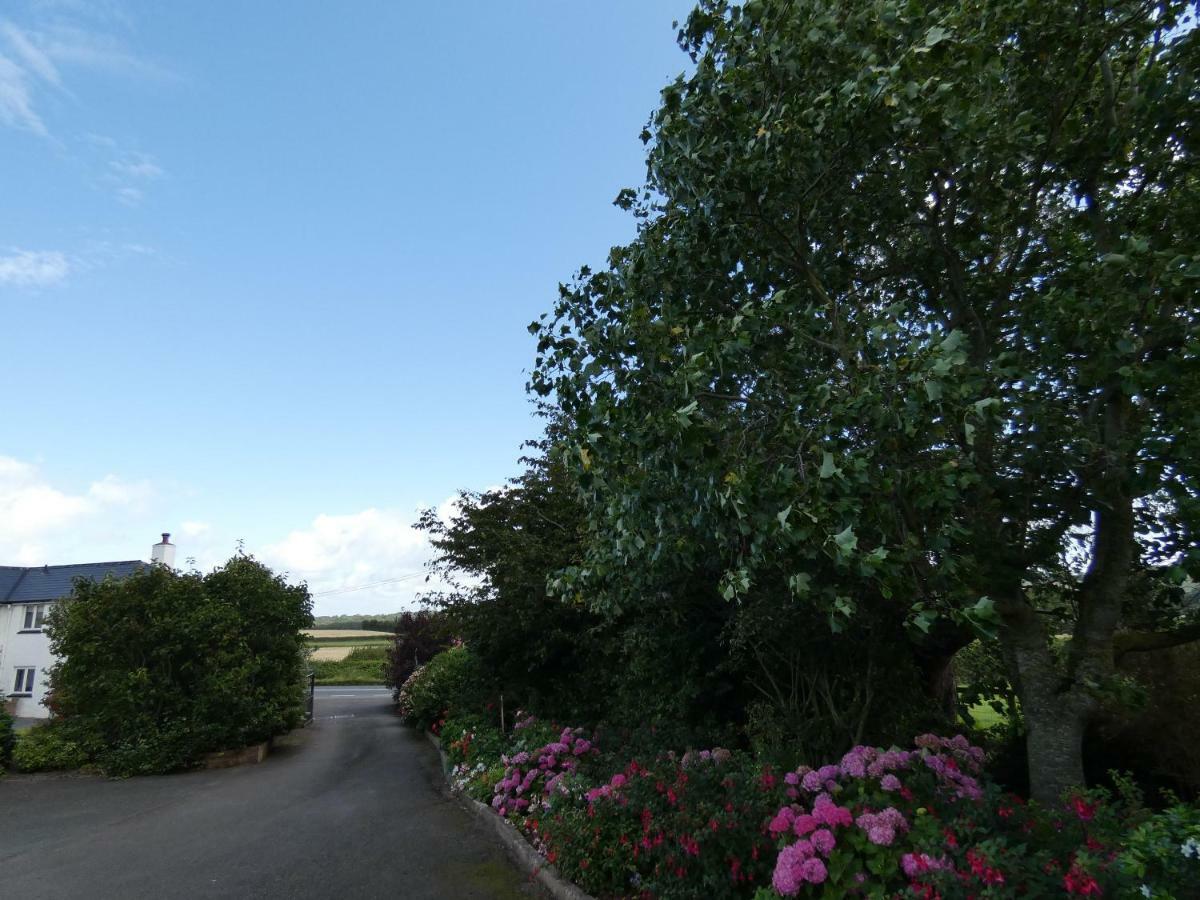Bed and Breakfast Bournestream Withycombe Exterior foto